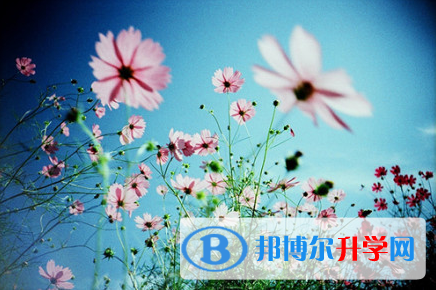 遂寧2022年歷年中考重點