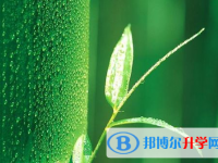 遂寧2022年中考報(bào)名系統(tǒng)