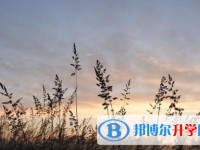 遂寧2022年中考錄取報(bào)名網(wǎng)