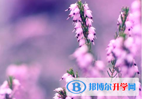 遂寧2022年中考升學錄取比例