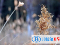 遂寧2022年中考填志愿的網站