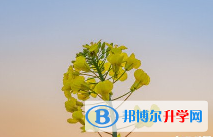 遂寧2022年中考網絡服務應用平臺
