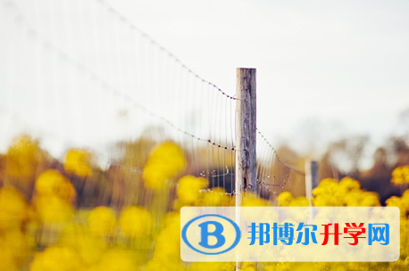 遂寧2022年中考網上報名系統