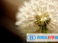 遂寧2022年中考網(wǎng)上模擬報(bào)名