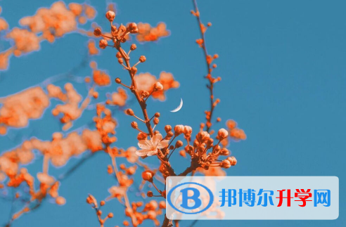 遂寧2022年中考招生計(jì)劃查詢