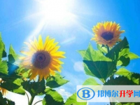 遂寧2022年中考的統(tǒng)招和調(diào)劑說(shuō)明
