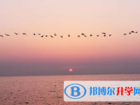遂寧2022年中考注意事項