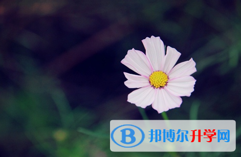 遂寧2022年中考注意事項和技巧