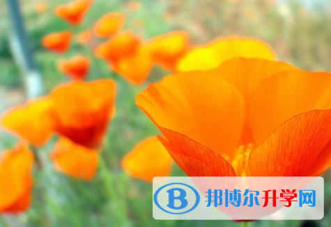 遂寧2022年中考準考證