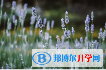 遂寧2022年中考是否有高價生