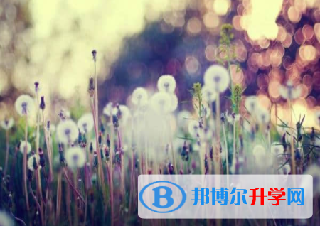 遂寧2022年中考沒考好