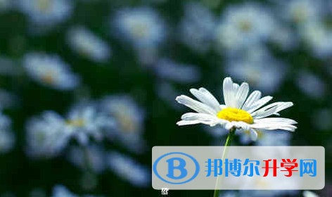 遂寧2022年中考的報(bào)名號(hào)是什么