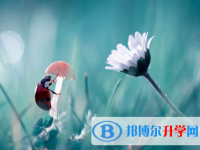 遂寧2022年中考報(bào)名是哪個(gè)網(wǎng)站