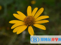遂寧2022年中考報(bào)名網(wǎng)站登錄