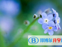 遂寧2022年中考報(bào)名網(wǎng)站是什么
