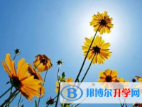 遂寧2022年中考志愿填報(bào)