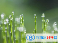 遂寧2022年中考志愿填報(bào)技巧