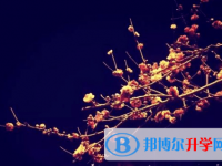 遂寧2022年中考志愿填報(bào)網(wǎng)址