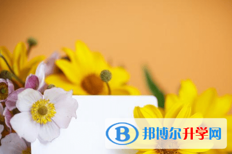 內(nèi)江2022年如何查詢中考成績