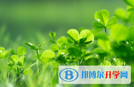 內(nèi)江2022年網(wǎng)上查詢中考成績