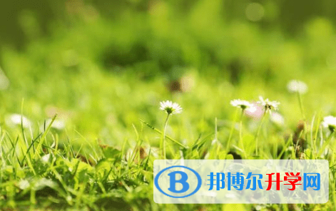 內(nèi)江2022年網(wǎng)上查詢中考成績(jī)?cè)趺床樵? width=
