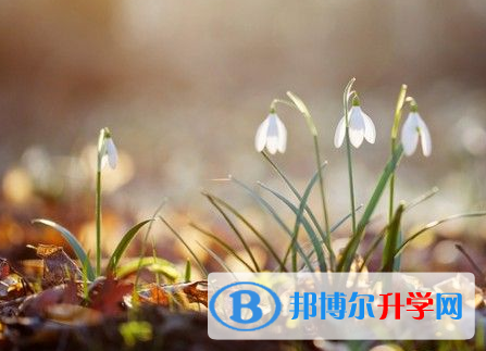 2022年內(nèi)江中考成績查詢系