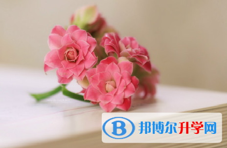 2022年內(nèi)江中考成績在哪里查詢