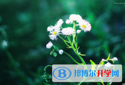 2022年內江中考怎樣考出好成績