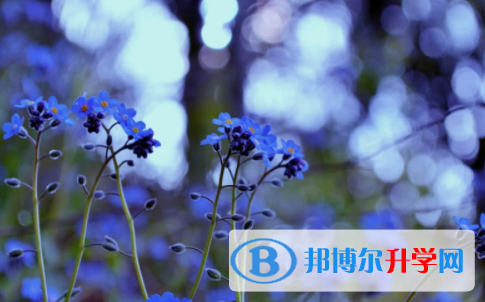 2022年內(nèi)江各個學(xué)校中考錄取線
