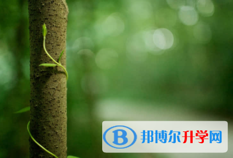 2022年內江中考查詢電話