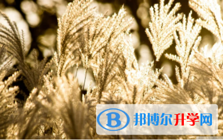 2022年內江中考查詢系統(tǒng)的密碼記不到了怎么辦