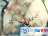 2022年內江中考成績查詢時間
