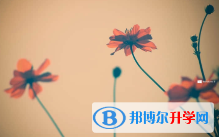 2022年內江中考成績何時出來