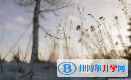 內(nèi)江2022年中考錄取時(shí)間