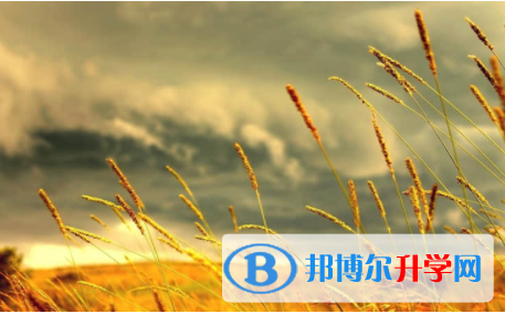 內江2022年中考錄取線是多少
