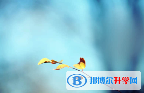 內(nèi)江2022年中考沒考上可以復(fù)讀嗎