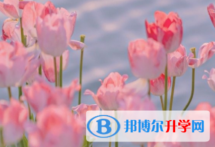 內江2022年中考人數