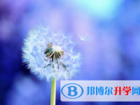 內江2022年中考如何