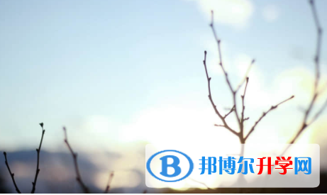 內(nèi)江2022年中考升學(xué)錄取比例