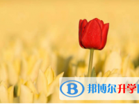 內(nèi)江2022年中考特長(zhǎng)生招生簡(jiǎn)章