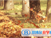 內(nèi)江2022年中考統(tǒng)考成績(jī)