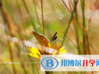 內(nèi)江2022年中考網(wǎng)報(bào)