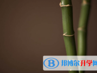 內(nèi)江2022年中考網(wǎng)絡(luò)服務(wù)平臺(tái)