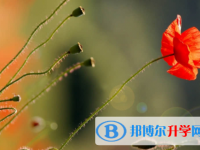 內(nèi)江2022年中考網(wǎng)絡(luò)服務(wù)應(yīng)用平臺(tái)