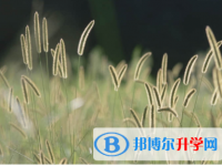 內(nèi)江2022年中考網(wǎng)絡(luò)平臺(tái)