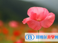 內(nèi)江2022年中考網(wǎng)絡(luò)應(yīng)用服務(wù)平臺(tái)