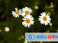 內(nèi)江2022年中考網(wǎng)上報(bào)考信息平臺(tái)