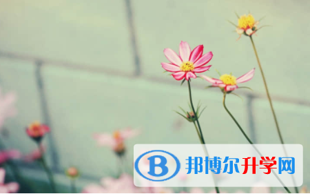 內江2022年中考網上查詢