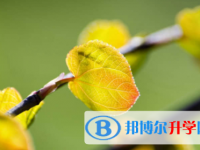 內(nèi)江2022年中考網(wǎng)上模擬報(bào)名