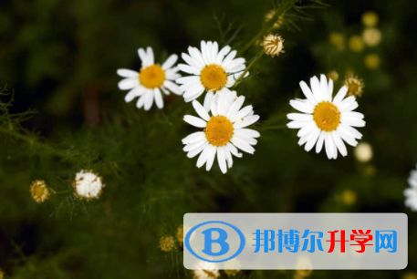 內江2022年中考線